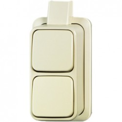 Busch-Jaeger Opbouw Wissel-Wisselschakelaar + Montageplaat Créme