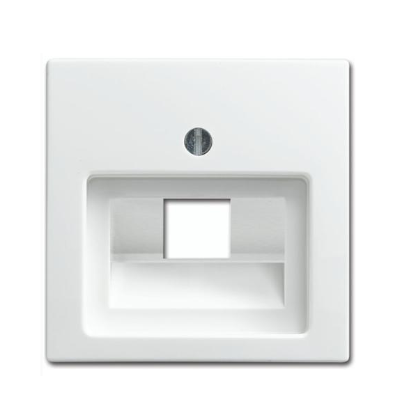 Busch-Jaeger Balance Internet 1V Centraalplaat