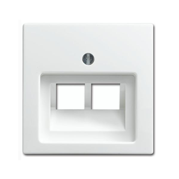 Busch-Jaeger Balance Internet 2V Centraalplaat