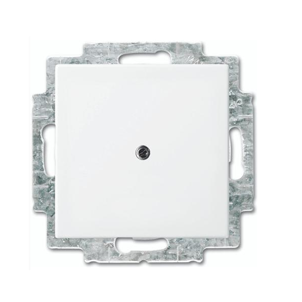 Busch-Jaeger Balance Blindplaat