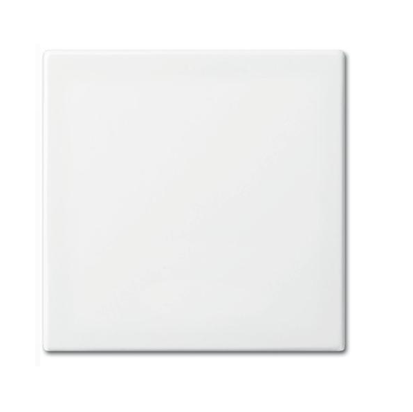 Busch-Jaeger Balance Enkele Wip