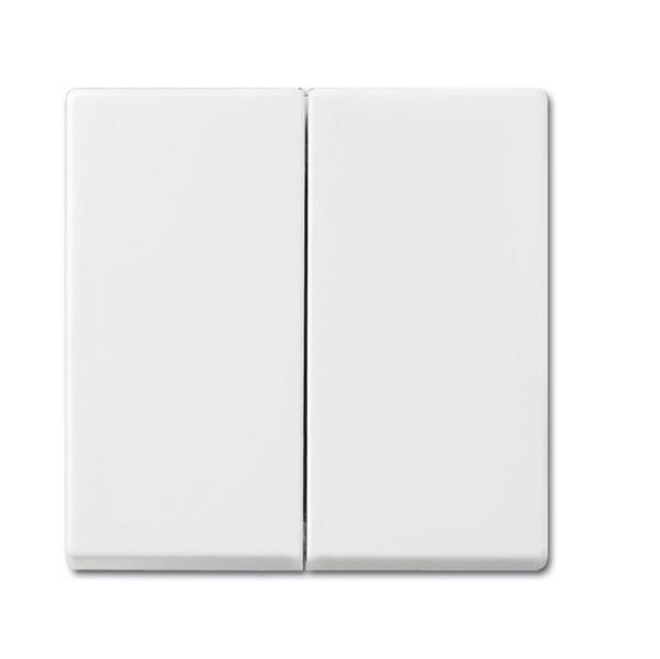 Busch-Jaeger Balance Dubbele Wip