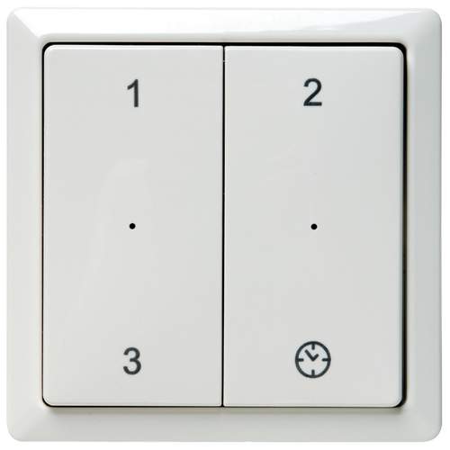 Zehnder RFZ Zender Wit