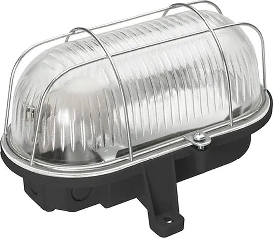 Bulleye 100W E27 Glas Stalen Korf IP44 Zwart
