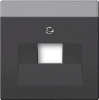 Busch-Jaeger Future Linear Internet 1V Centraalplaat Mat Zwart