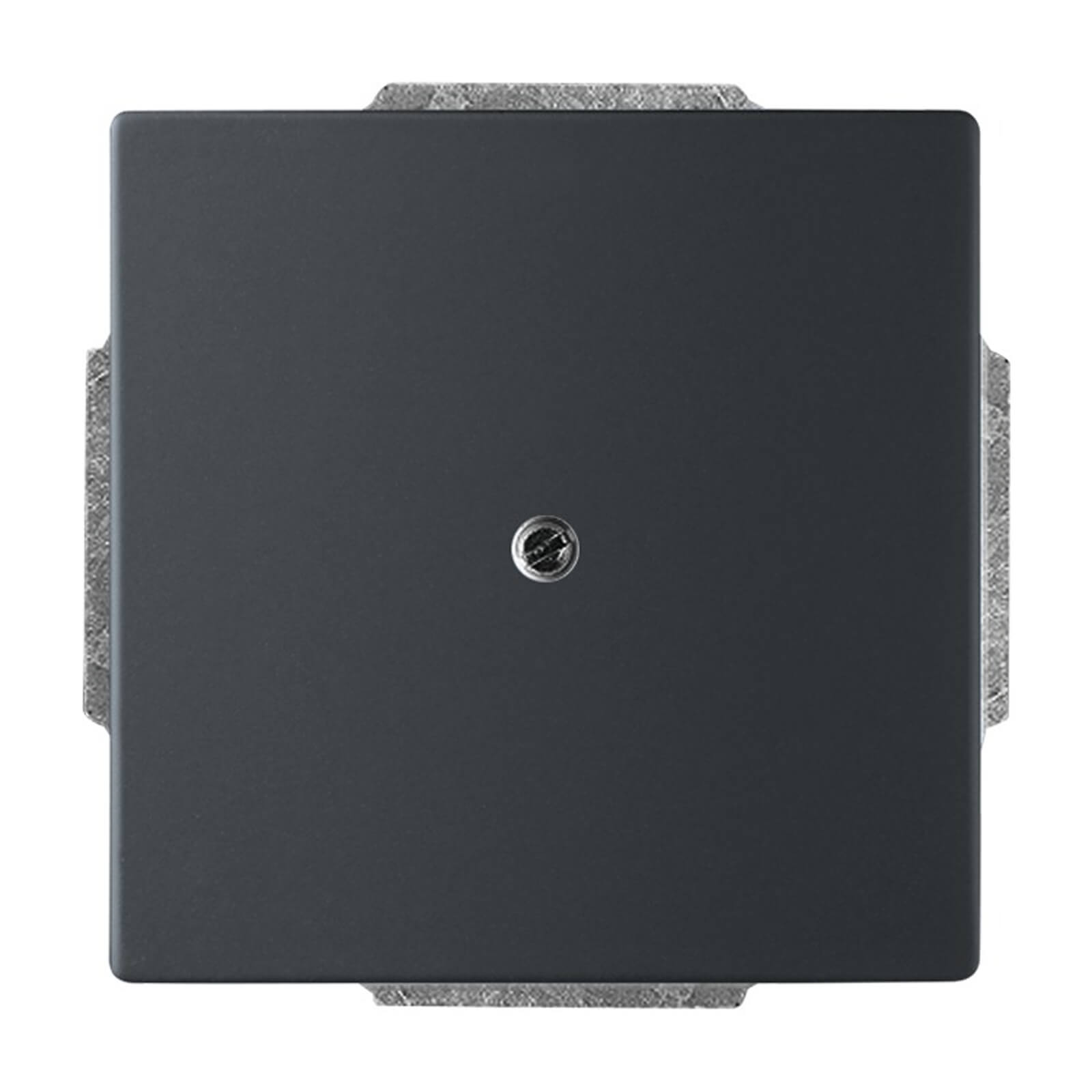 Busch-Jaeger Future Linear Blindplaat Mat Zwart