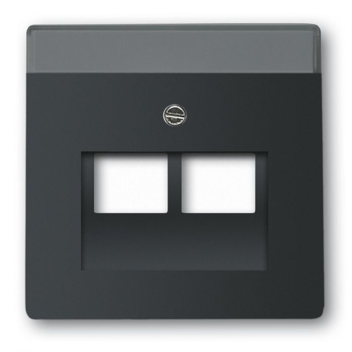 Busch-Jaeger Future Linear Internet 2V Centraalplaat Mat Zwart