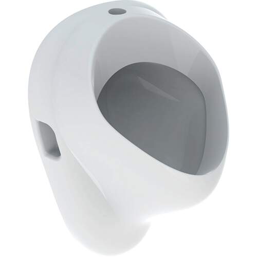 Geberit Bastia Urinoir Boveninlaat Wit