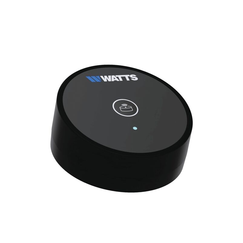 Watts Vision 2.0 Waterlekdetector - BLK01 RF