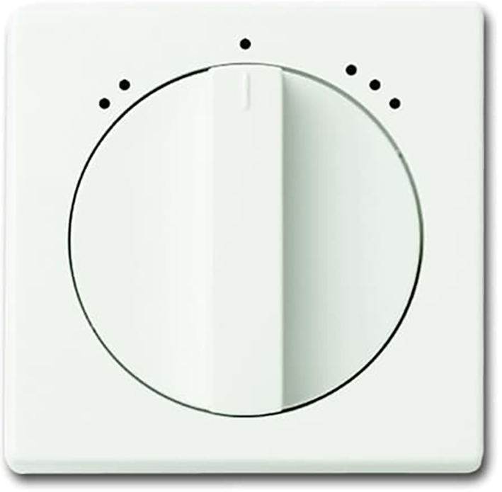 Abb Busch-Jaeger Afdekplaat T.b.v. 3-Standenschakelaar Future Linear Mat Wit