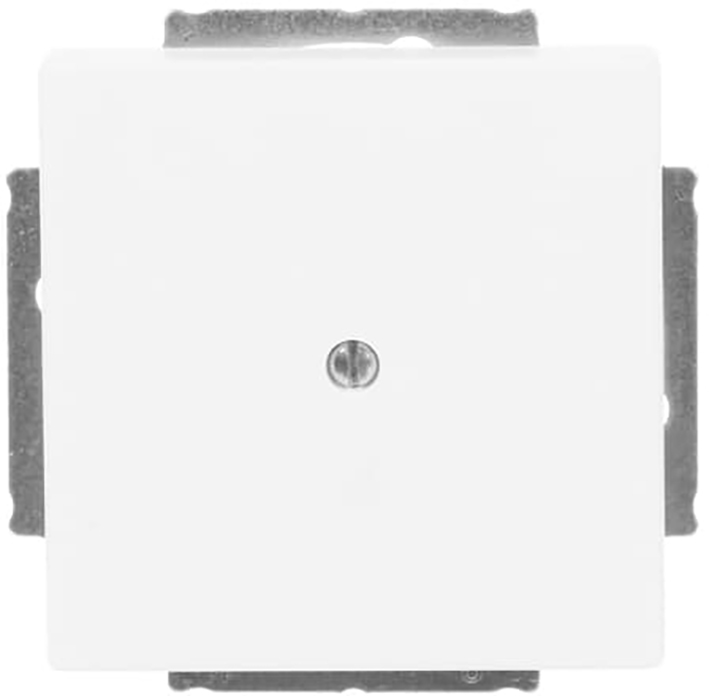 Abb Busch-Jaeger Blindplaat Future Linear Mat Wit