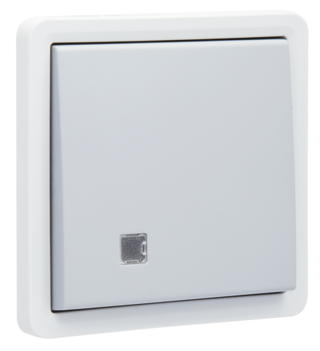 Niko Hydro Wd Controleschakelaar 2P 10A - Insteek Grijs - Afbeelding 7