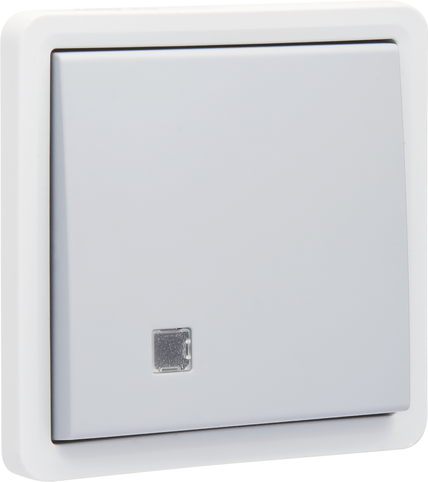 Niko Hydro Wd Controleschakelaar 2P 10A - Insteek Grijs - Afbeelding 6