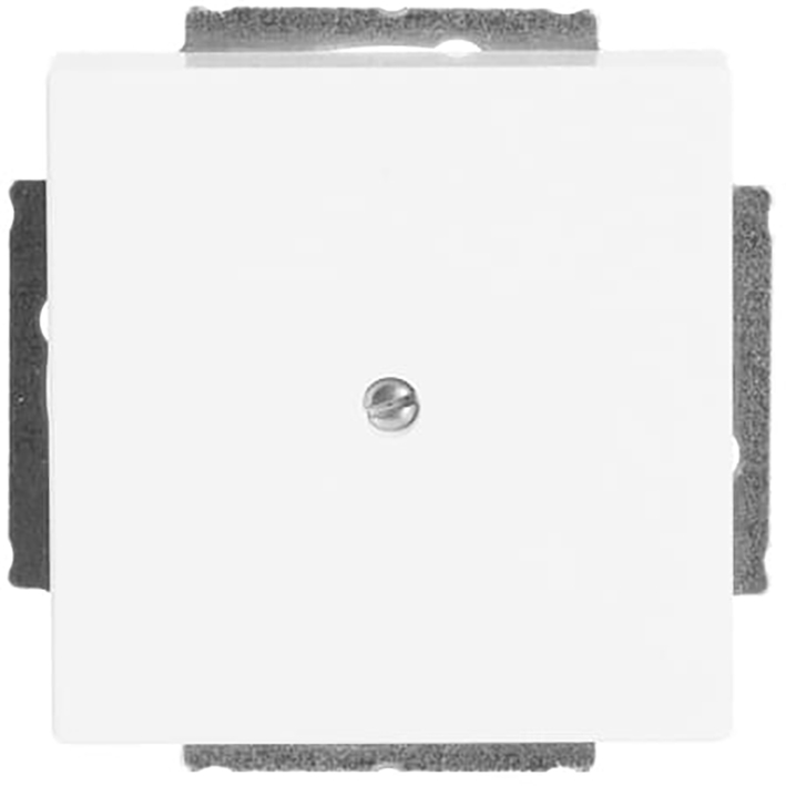 Abb Busch-Jaeger Blindplaat Wit/Wit Future Linear Bj