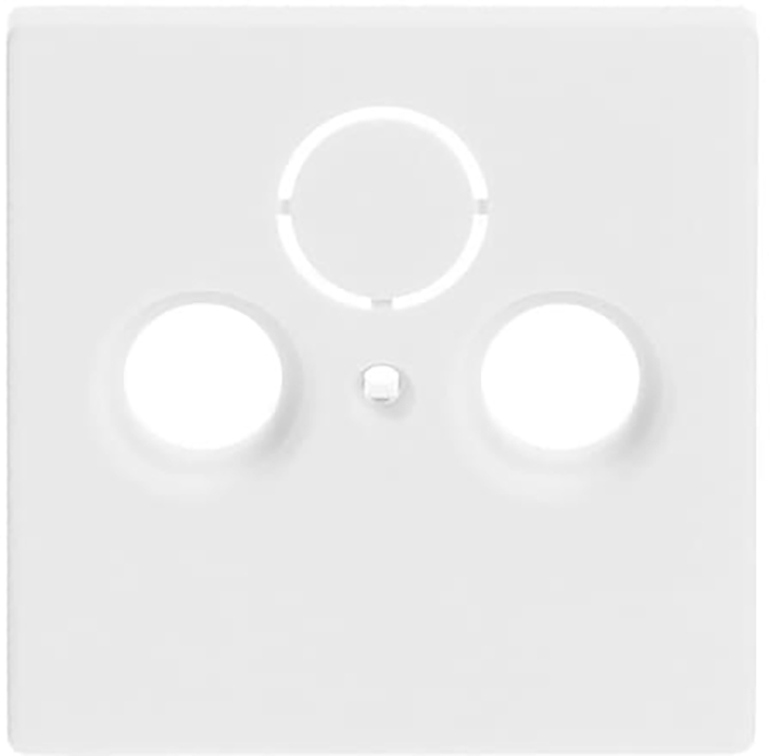 Abb Busch-Jaeger Cai/Tv Afdekplaat Future Linear Mat Wit