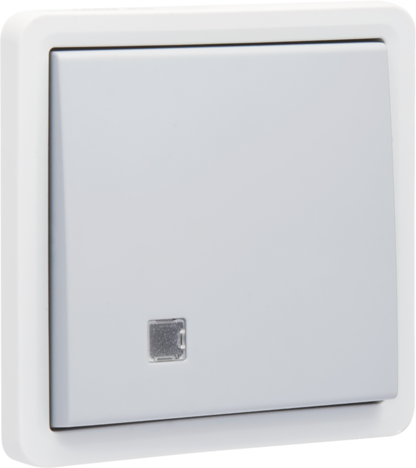Niko Hydro Wd Controleschakelaar 2P 10A - Insteek Grijs - Afbeelding 4
